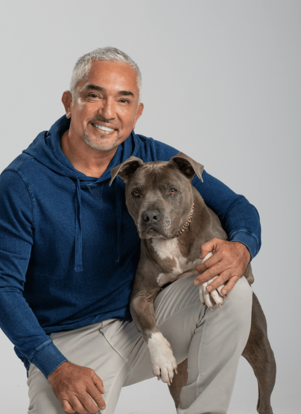 César Millan's Pack Leader Programs
